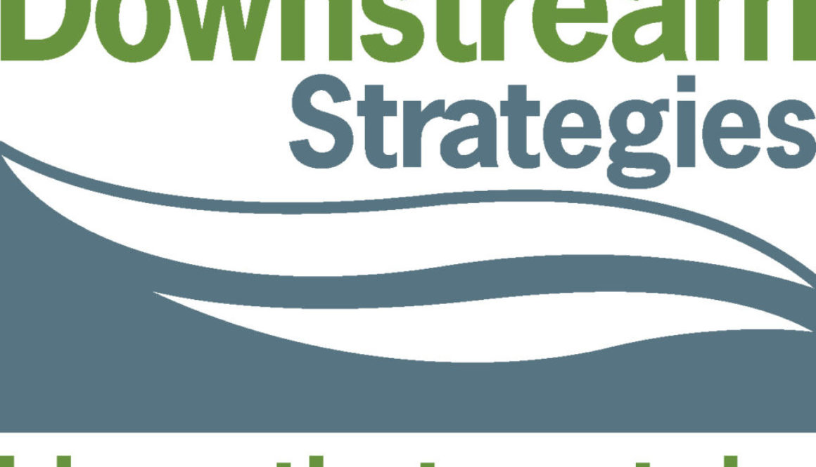 DownstreamStrategiesLogo-lowercase-Color-v1